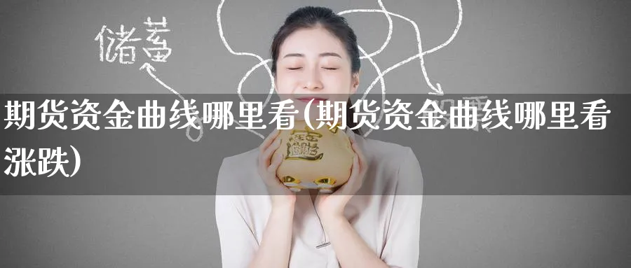 期货资金曲线哪里看(期货资金曲线哪里看涨跌)_https://www.baokan.net_恒指期货_第1张
