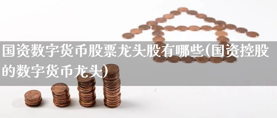 国资数字货币股票龙头股有哪些(国资控股的数字货币龙头)_https://www.baokan.net_期货平台_第1张