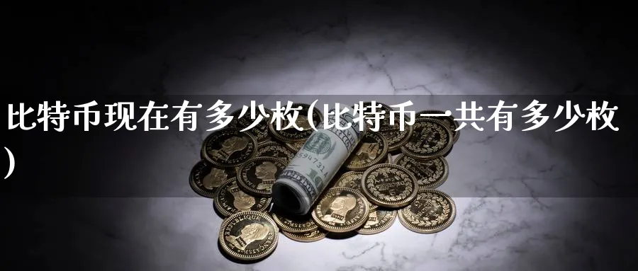 比特币现在有多少枚(比特币一共有多少枚)_https://www.baokan.net_纳指期货_第1张