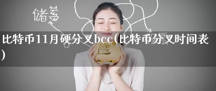 比特币11月硬分叉bcc(比特币分叉时间表)_https://www.baokan.net_币圈行情_第1张