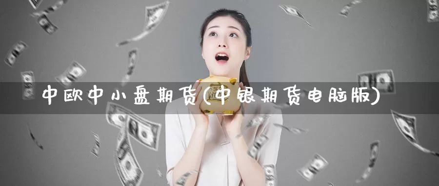 中欧中小盘期货(中银期货电脑版)_https://www.baokan.net_期货平台_第1张