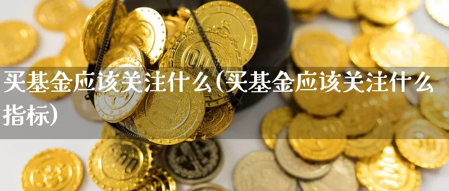 买基金应该关注什么(买基金应该关注什么指标)_https://www.baokan.net_原油期货_第1张