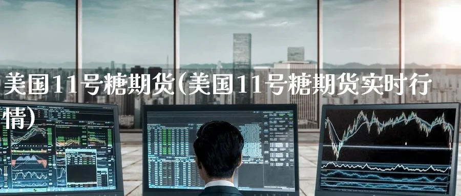 美国11号糖期货(美国11号糖期货实时行情)_https://www.baokan.net_恒指期货_第1张