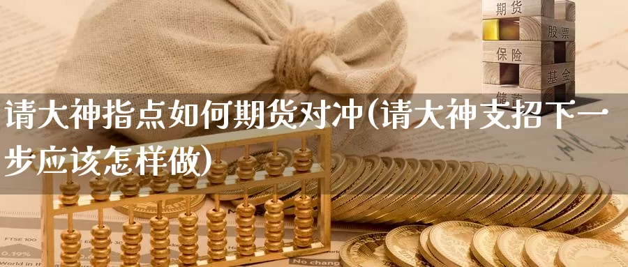 请大神指点如何期货对冲(请大神支招下一步应该怎样做)_https://www.baokan.net_期货培训_第1张