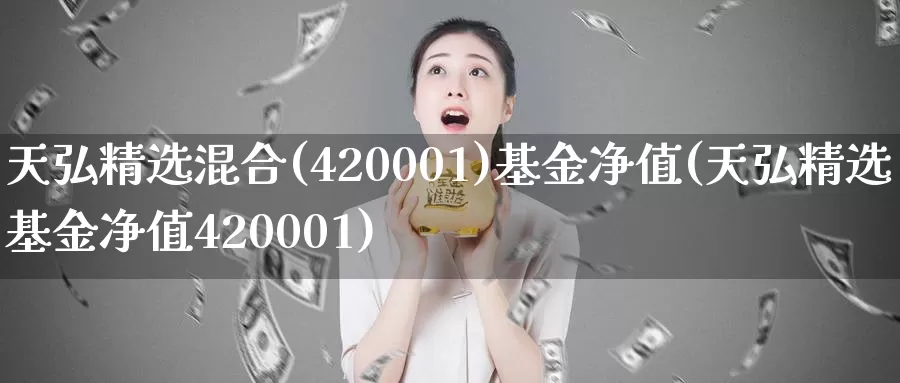天弘精选混合(420001)基金净值(天弘精选基金净值420001)_https://www.baokan.net_期货技术_第1张
