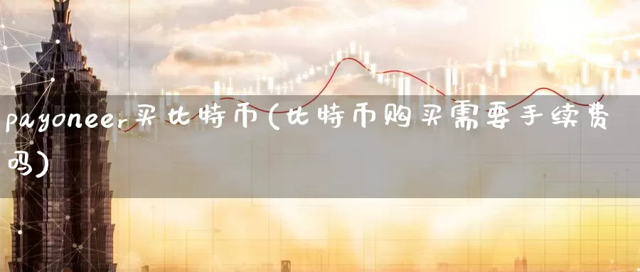 payoneer买比特币(比特币购买需要手续费吗)_https://www.baokan.net_币圈行情_第1张