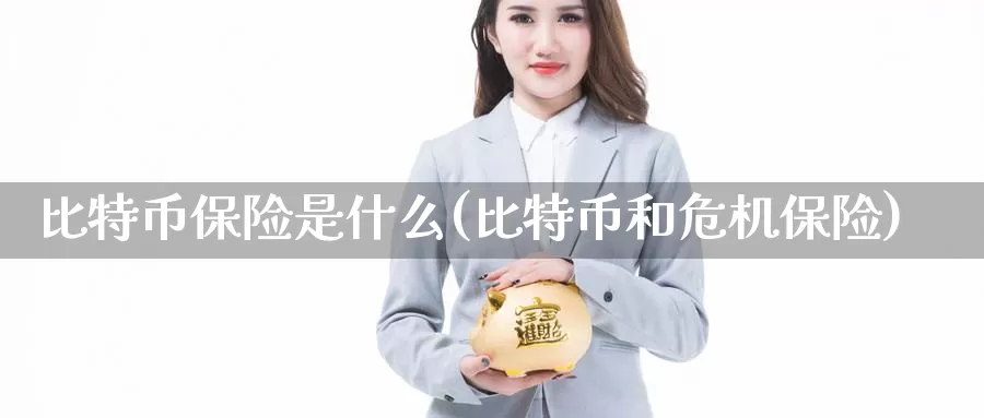 比特币保险是什么(比特币和危机保险)_https://www.baokan.net_币圈行情_第1张