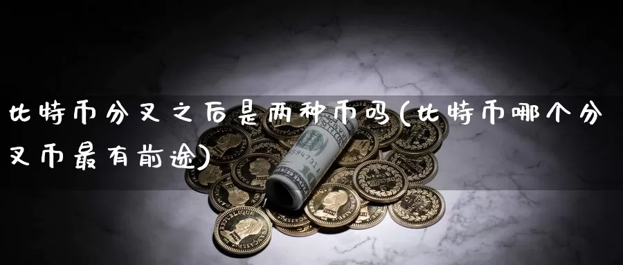 比特币分叉之后是两种币吗(比特币哪个分叉币最有前途)_https://www.baokan.net_币圈行情_第1张
