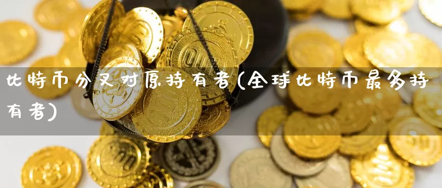 比特币分叉对原持有者(全球比特币最多持有者)_https://www.baokan.net_币圈行情_第1张
