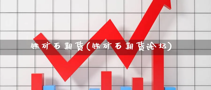铁矿石期货(铁矿石期货)_https://www.baokan.net_期货培训_第1张