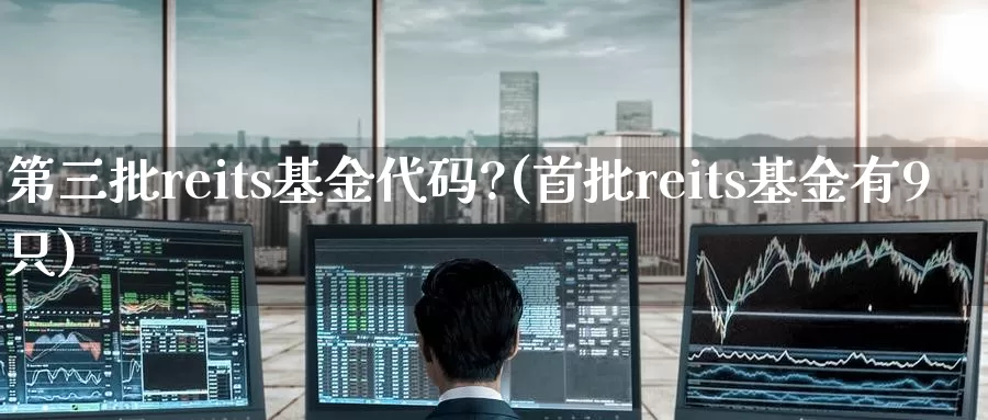 第三批reits基金代码?(首批reits基金有9只)_期货培训_第1张_宝勘金融网 第三批reits基金代码?(首批reits基金有9只)_https://www.baokan.net_期货培训_第1张
