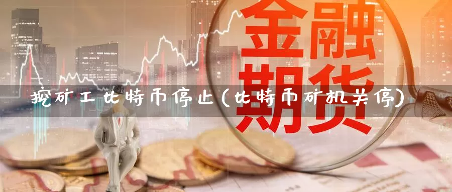 挖矿工比特币停止(比特币矿机关停)_https://www.baokan.net_币圈行情_第1张
