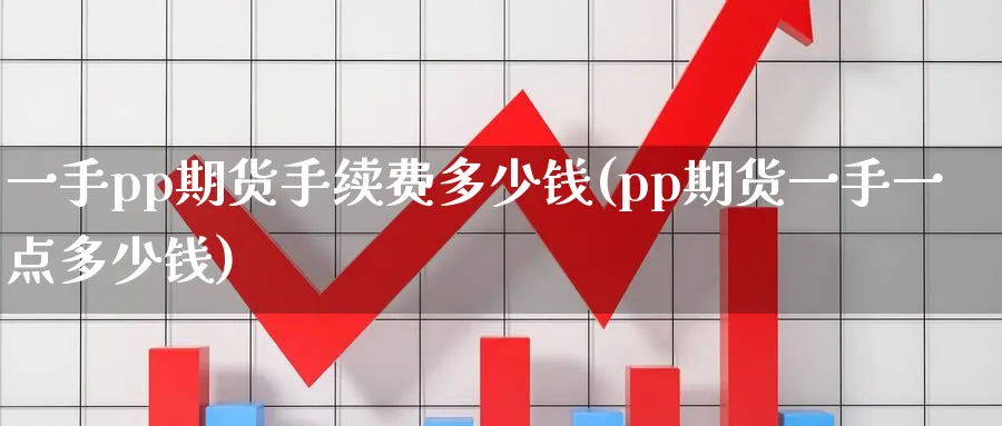 一手pp期货手续费多少钱(pp期货一手一点多少钱)_https://www.baokan.net_恒指期货_第1张