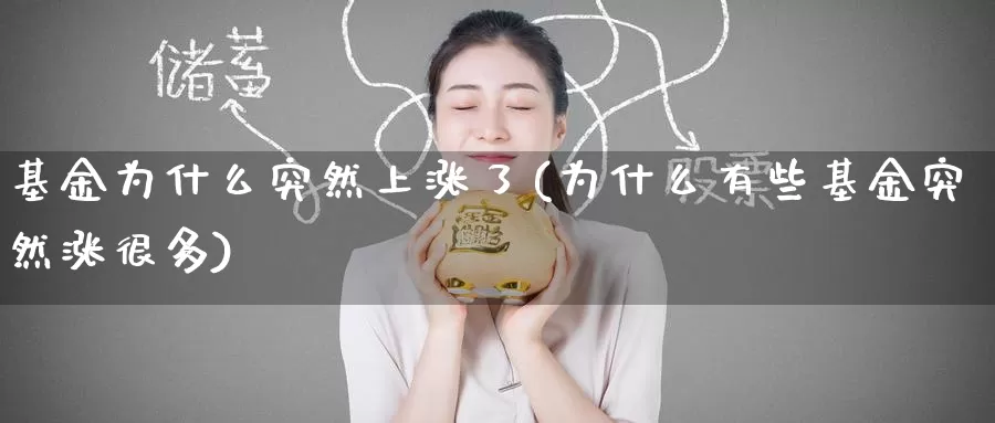 基金为什么突然上涨了(为什么有些基金突然涨很多)_https://www.baokan.net_币圈行情_第1张