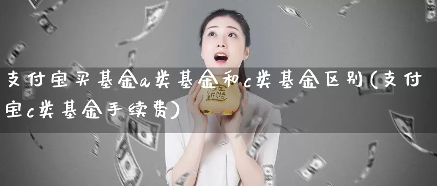 支付宝买基金a类基金和c类基金区别(支付宝c类基金手续费)_股指期货_第1张_宝勘金融网 支付宝买基金a类基金和c类基金区别(支付宝c类基金手续费)_https://www.baokan.net_股指期货_第1张