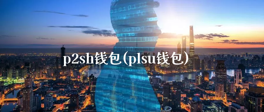 p2sh钱包(plsu钱包)_https://www.baokan.net_币圈行情_第1张