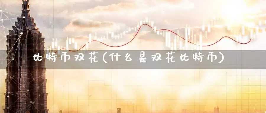 比特币双花(什么是双花比特币)_https://www.baokan.net_币圈行情_第1张