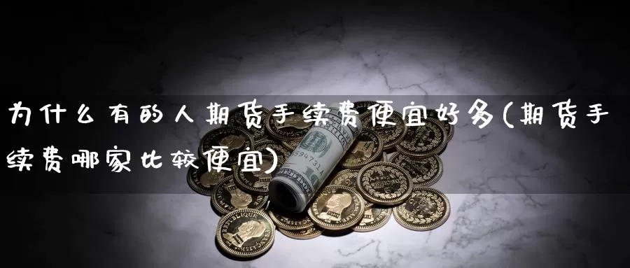 为什么有的人期货手续费便宜好多(期货手续费哪家比较便宜)_https://www.baokan.net_恒指期货_第1张