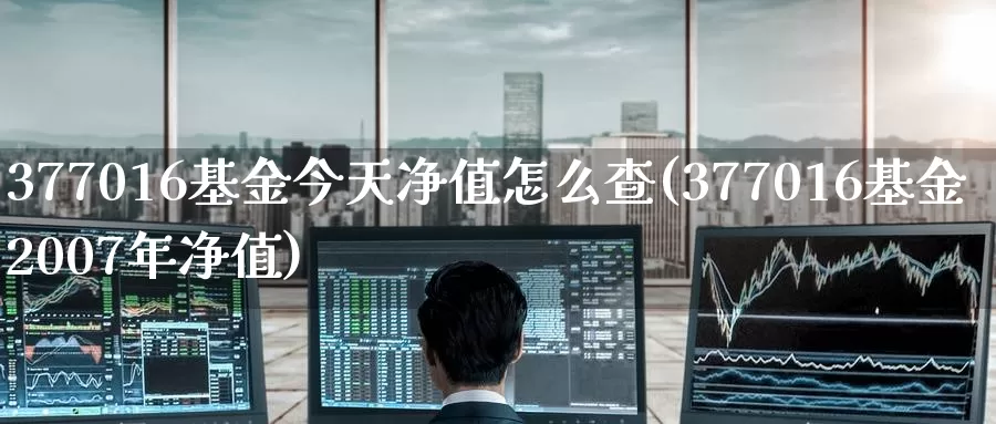 377016基金今天净值怎么查(377016基金2007年净值)_黄金期货_第1张_宝勘金融网 377016基金今天净值怎么查(377016基金2007年净值)_https://www.baokan.net_黄金期货_第1张