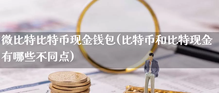 微比特比特币现金钱包(比特币和比特现金有哪些不同点)_https://www.baokan.net_币圈行情_第1张