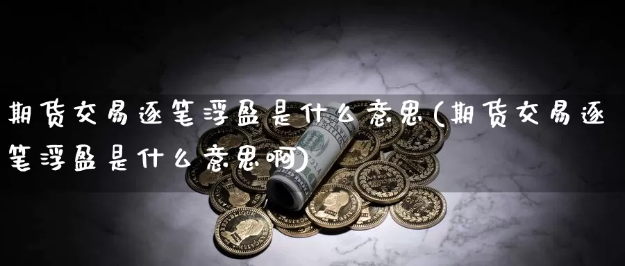 期货交易逐笔浮盈是什么意思(期货交易逐笔浮盈是什么意思啊)_https://www.baokan.net_期货入门_第1张