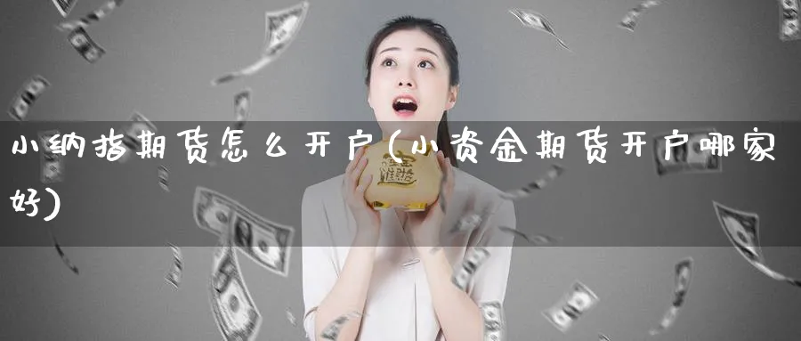 小纳指期货怎么开户(小资金期货开户哪家好)_https://www.baokan.net_期货软件_第1张