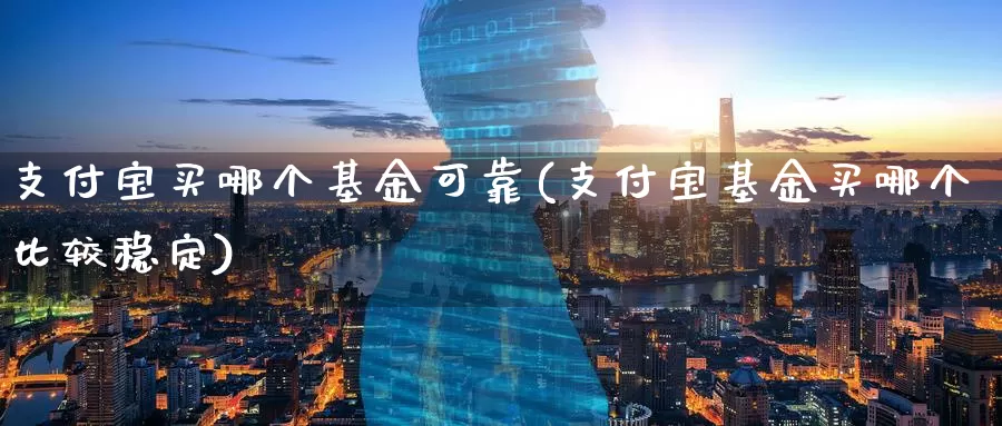 支付宝买哪个基金可靠(支付宝基金买哪个比较稳定)_https://www.baokan.net_期货软件_第1张