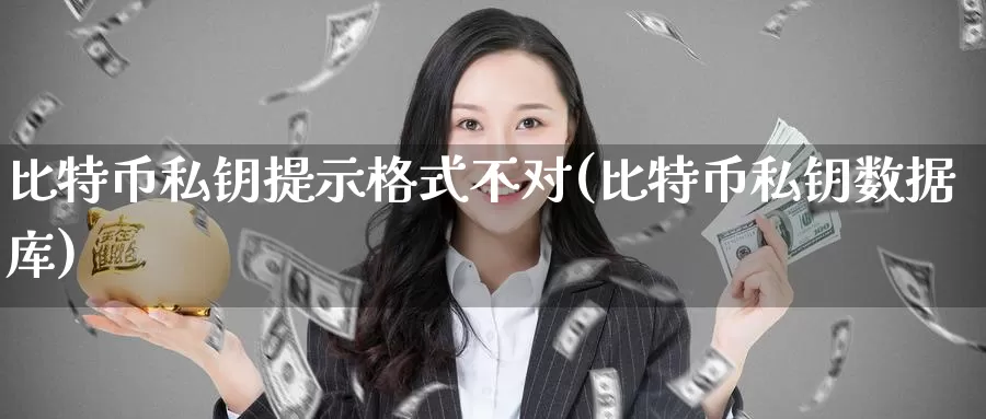 比特币私钥提示格式不对(比特币私钥数据库)_https://www.baokan.net_币圈行情_第1张