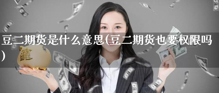 豆二期货是什么意思(豆二期货也要权限吗)_https://www.baokan.net_内盘期货_第1张
