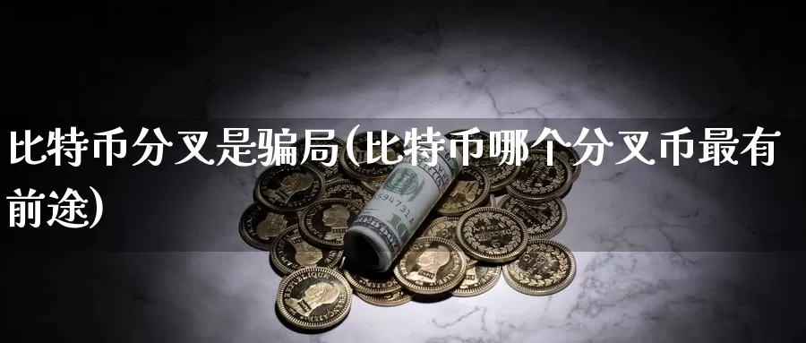 比特币分叉是骗局(比特币哪个分叉币最有前途)_https://www.baokan.net_币圈行情_第1张