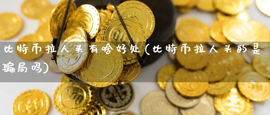 比特币拉人头有啥好处(比特币拉人头的是局吗)_https://www.baokan.net_期货百科_第1张