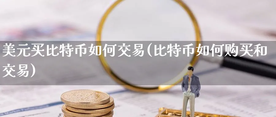 美元买比特币如何交易(比特币如何购买和交易)_https://www.baokan.net_币圈行情_第1张