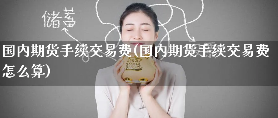国内期货手续交易费(国内期货手续交易费怎么算)_https://www.baokan.net_期货品种_第1张