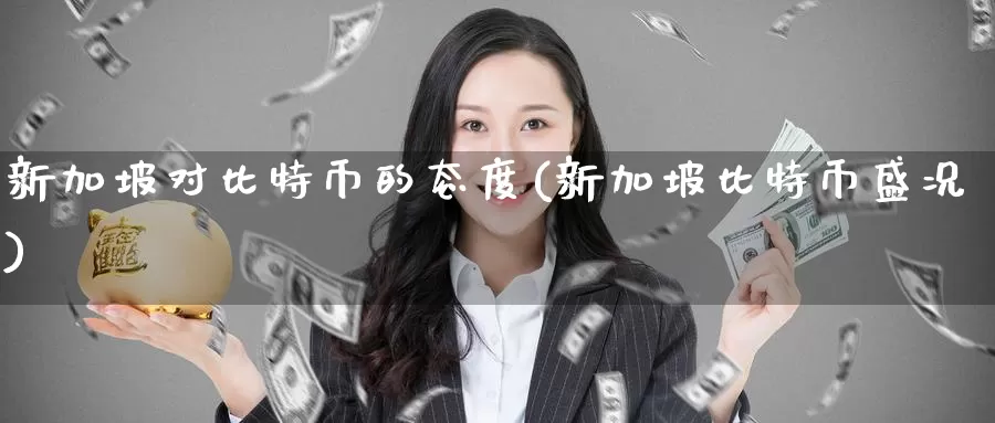 新加坡对比特币的态度(新加坡比特币盛况)_https://www.baokan.net_币圈行情_第1张