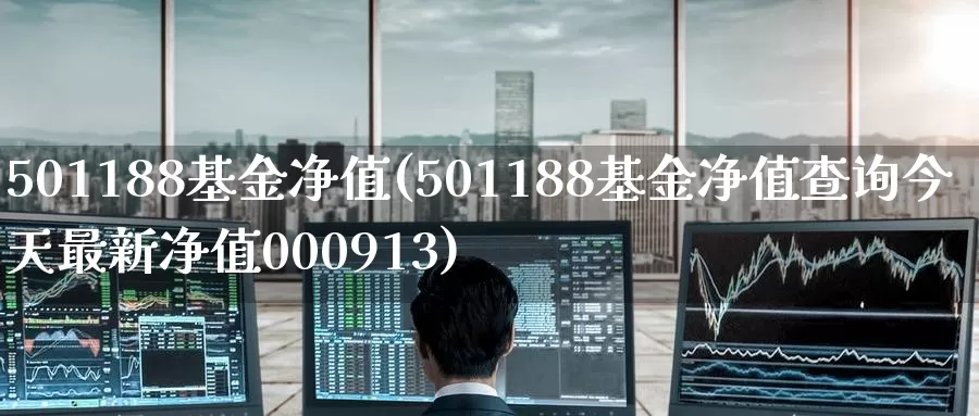 501188基金净值(501188基金净值查询今天最新净值000913)_https://www.baokan.net_期货技术_第1张