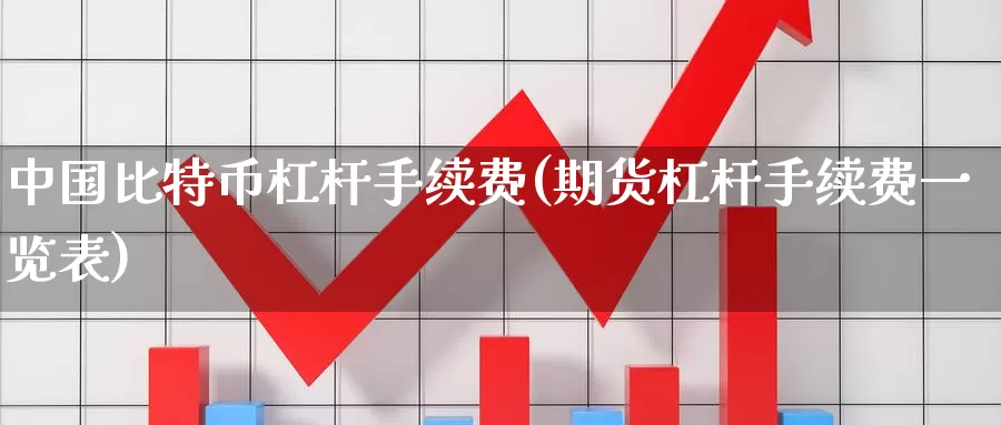 中国比特币杠杆手续费(期货杠杆手续费一览表)_https://www.baokan.net_币圈行情_第1张