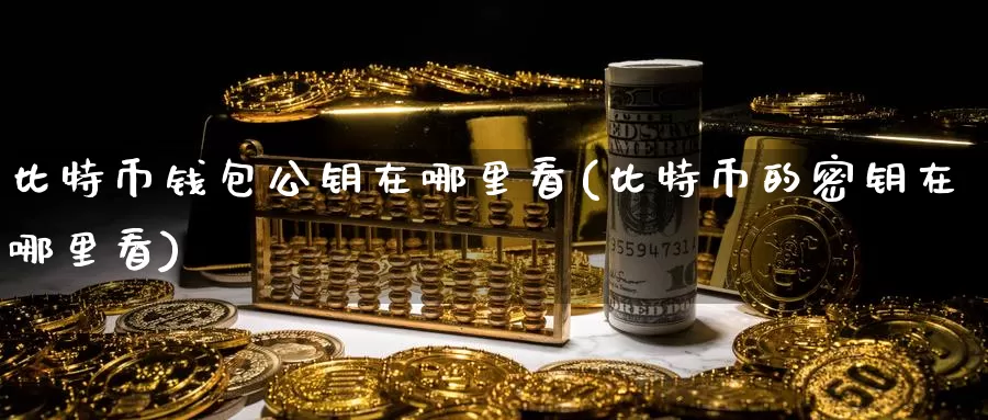 比特币钱包公钥在哪里看(比特币的密钥在哪里看)_https://www.baokan.net_币圈行情_第1张