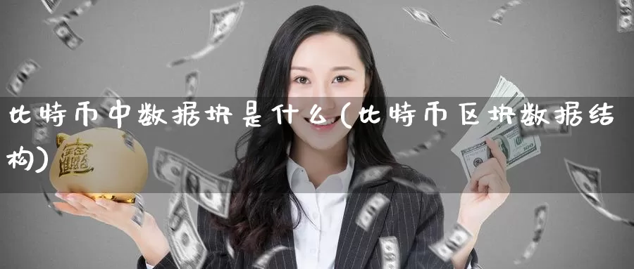 比特币中数据块是什么(比特币区块数据结构)_https://www.baokan.net_币圈行情_第1张