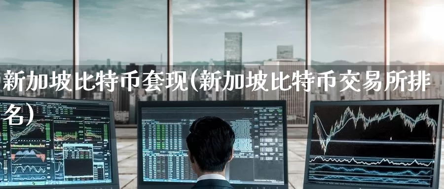 新加坡比特币套现(新加坡比特币交易所排名)_https://www.baokan.net_币圈行情_第1张