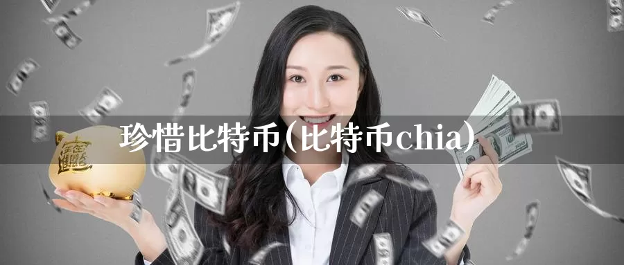 珍惜比特币(比特币chia)_https://www.baokan.net_币圈行情_第1张
