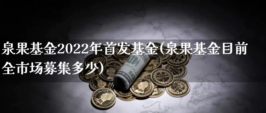 泉果基金2022年首发基金(泉果基金目前全市场募集多少)_https://www.baokan.net_期货开户_第1张