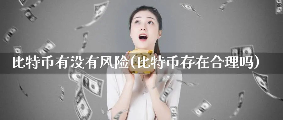 比特币有没有风险(比特币存在合理吗)_https://www.baokan.net_币圈行情_第1张