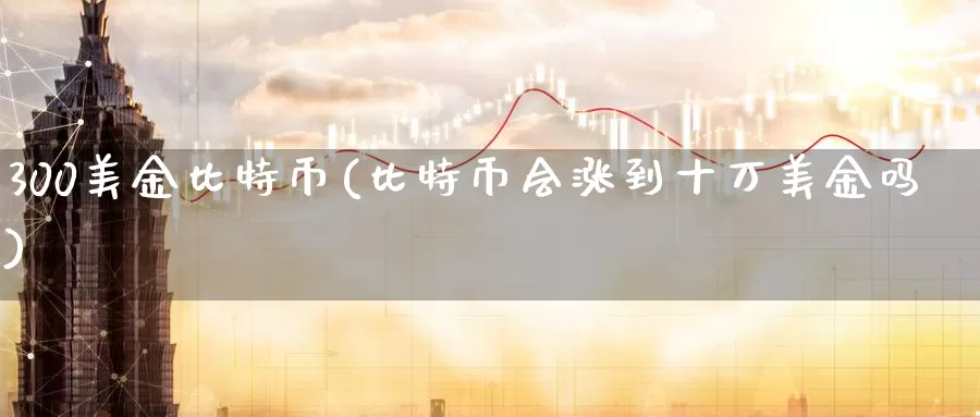 300美金比特币(比特币会涨到十万美金吗)_https://www.baokan.net_币圈行情_第1张