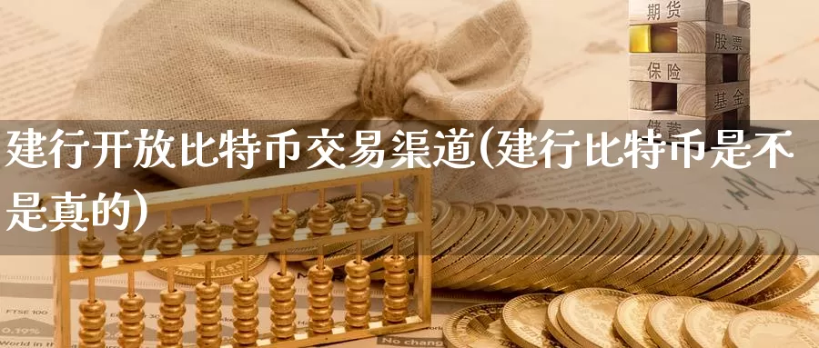 建行开放比特币交易渠道(建行比特币是不是真的)_https://www.baokan.net_币圈行情_第1张