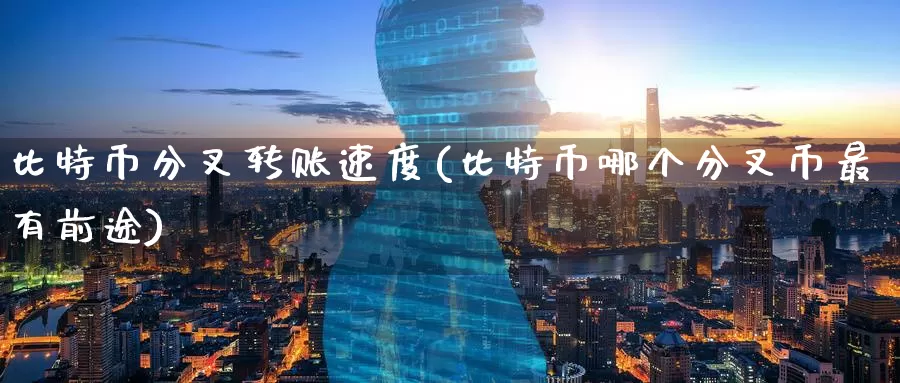 比特币分叉转账速度(比特币哪个分叉币最有前途)_https://www.baokan.net_币圈行情_第1张