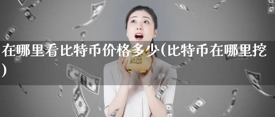 在哪里看比特币价格多少(比特币在哪里挖)_https://www.baokan.net_币圈行情_第1张