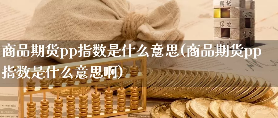 商品期货pp指数是什么意思(商品期货pp指数是什么意思啊)_https://www.baokan.net_期货行情_第1张