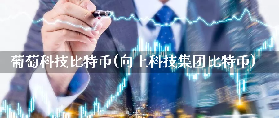葡萄科技比特币(向上科技集团比特币)_https://www.baokan.net_币圈行情_第1张