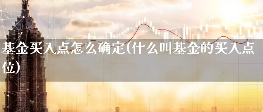 基金买入点怎么确定(什么叫基金的买入点位)_https://www.baokan.net_期货品种_第1张