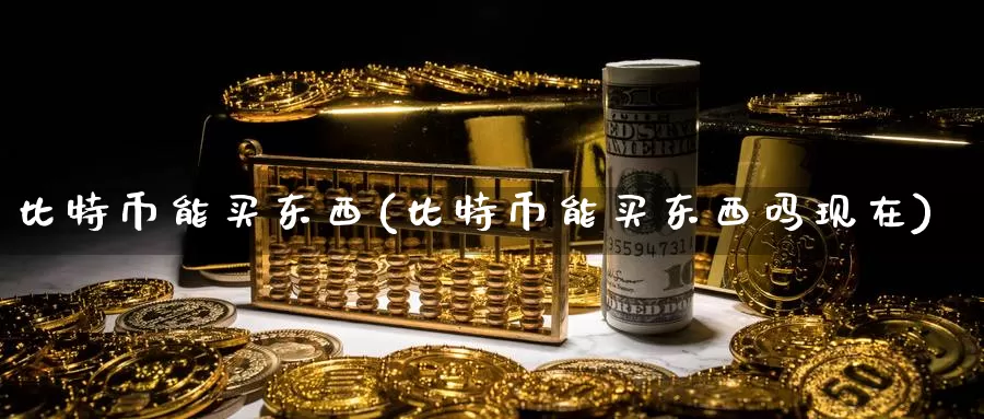 比特币能买东西(比特币能买东西吗现在)_https://www.baokan.net_币圈行情_第1张